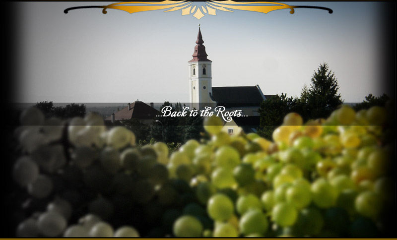 gk vines, back to the roots, guenther kopf vines, temptation, ruby, episode 1